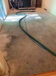 carpet cleaning south bend in