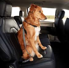 Adjustable Pet Cat Dog Car Seat Belt