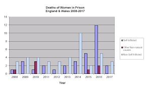 Image result for women deaths in prison photo