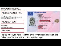 check driving licence using a code