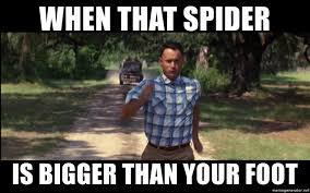 Save and share your meme collection! When That Spider Is Bigger Than Your Foot Forrest Gump Running Meme Generator
