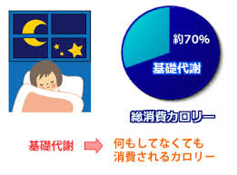 「基礎代謝」の画像検索結果