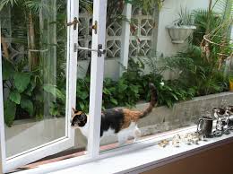 need a cat flap or doggy door read