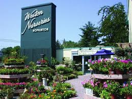 Find the highest rated garden center software pricing, reviews, free demos, trials, and more. Weston Nurseries Premium Plant Garden And Landscape Supply