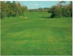Tofield Golf Course, Tofield, Alberta | Canada Golf Card