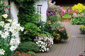 Cottage Charm In Your Garden