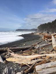 Rialto Beach Olympic National Park 2019 All You Need To