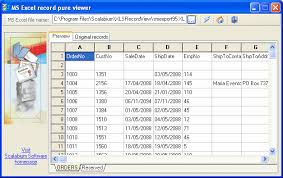 Direct And Fast Xls File Processing In Excelfile Viewer