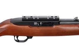 ruger 10 22 carbine autoloading