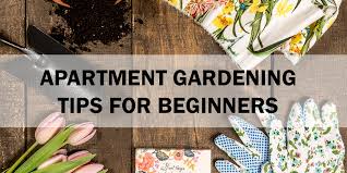 5 Apartment Gardening Tips For