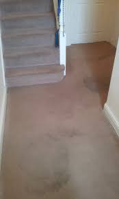 carpet cleaning killarney extract