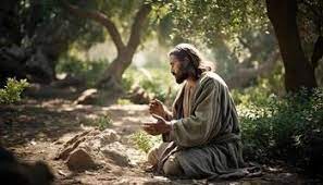 gethsemane stock photos images and