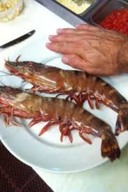 115 Best Shrimp N Salmon Images Seafood Recipes Seafood