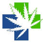 Florida Marijuana Doctors from www.drcannabus.com