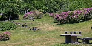 craggy gardens blue ridge parkway