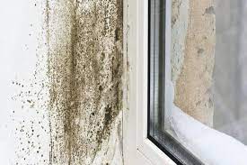 How Can I Get Rid Of Mould Permanently
