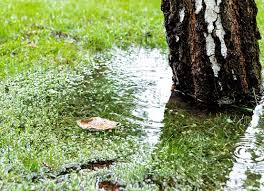 Garden Drainage Problems Solutions