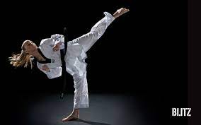 Blitz Taekwondo Wallpaper (2560 x 1600)