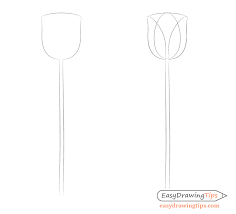 Easy and fun drawing tutorials. Easy Tulip Drawing Step By Step Easydrawingtips
