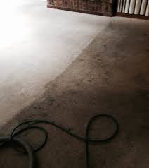 work carpet cleaning services