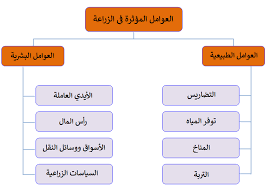 من مقومات الصناعه في دول مجلس التعاون توافر المواد الخام