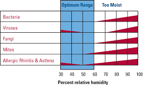 Optimum Relative Humidity Am Shield Waterproofing