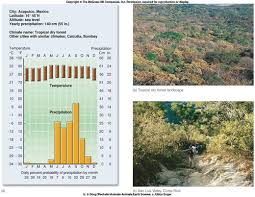 Abiotic Factors The Tropical Dry Forest