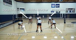 the 7 volleyball positions free guide