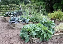 new penn state master gardeners program