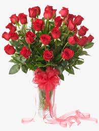 50 red roses vase pink lily flower