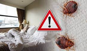 These tips will help you stop the bed bug epidemic where it matters most to you, in your own home. Bed Bugs How To Spot Them In Your Hotel And Where They Hide Travel News Travel Express Co Uk