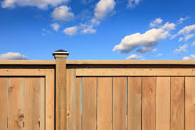 Decision Time Cedar Vs Treated Wood Fence
