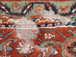 oriental rugs from moth damage