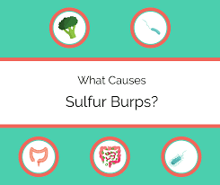 what are sulfur burps causes and