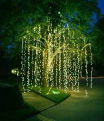 trees ideas lights outdoor gardens