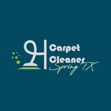 7 best spring carpet cleaners