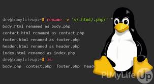 how to change a filename in linux pi