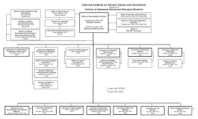 Dicbr Organization Chart National Institute On Alcohol