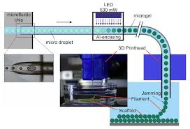 Microfluidic Flow 3d