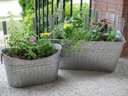 Container Gardening Ideas Lettuce