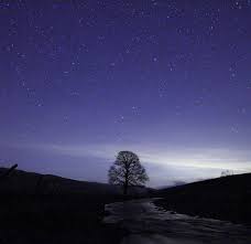 The stars are so clear that the resort built an observatory. Dark Sky Destinations In Wales Visit Wales