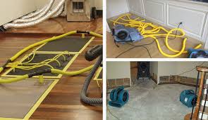 water damage insurance claims in new