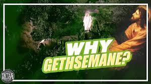 why did choose gethsemane