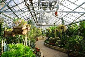 victorian era indoor botanical garden