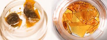 It has a large market, and therefore its extraction promises to be profitable for anybody who does it commercially. Cannabis Concentrates 101 Wax Shatter Rosin More Sensi Seeds