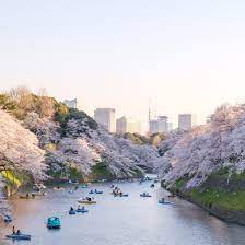 27 best things to do in tokyo for every