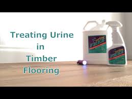 urinefree removing urine in timber