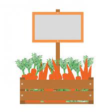 Wooden Box With Carrots Isolated Icon
