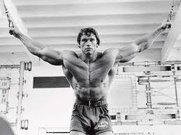 arnold s legendary t and workout plan