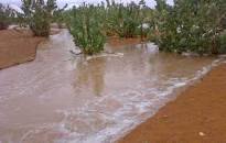 نتيجة بحث الصور عن صور المطر في موريتانيا